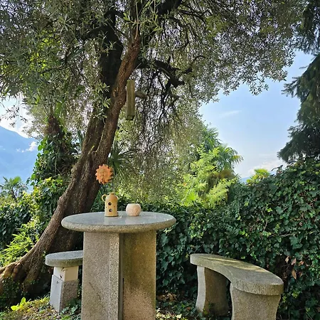 Ida Frueh By Holap Sa דירה לוקרנו